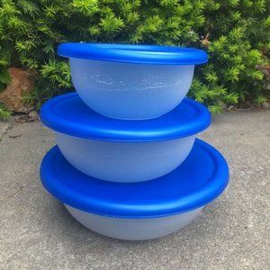 Set of 3 sterilite food containers